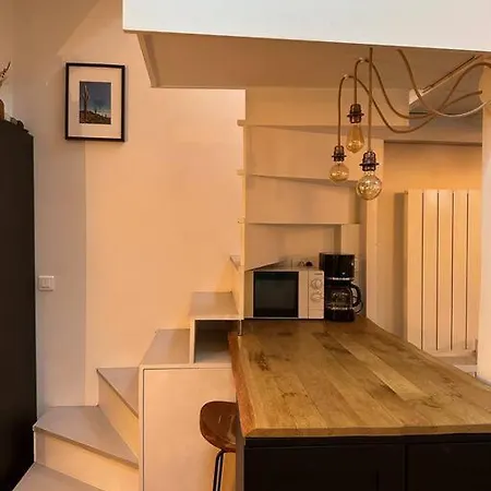 Appartement Loft Avec Terrasse Et Verriere