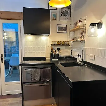 Appartement Loft Avec Terrasse Et Verriere Paris